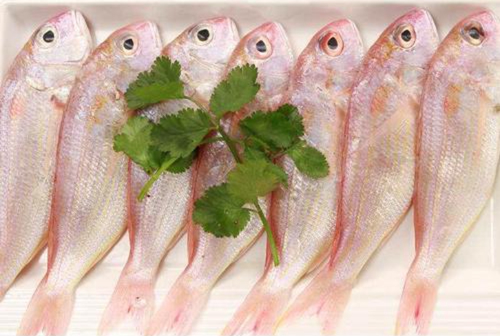 越南冷凍金線魚(yú)進(jìn)口報(bào)關(guān)資料