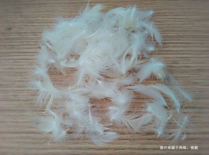 進(jìn)口馬來西亞水洗鴨毛報關(guān)流程到上海外高橋案例