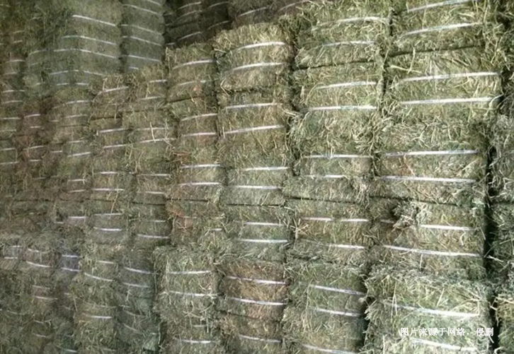 進(jìn)口蘇丹苜蓿草報(bào)關(guān)資料