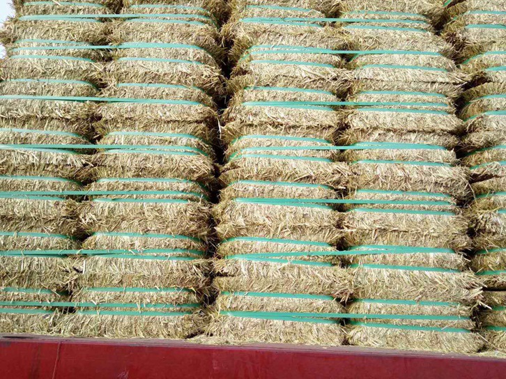 澳大利亞燕麥草進(jìn)口報關(guān)資料