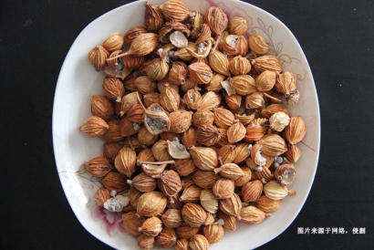 馬來西亞肉豆蔻進口報關(guān)流程_廣州調(diào)味香料清關(guān)資料