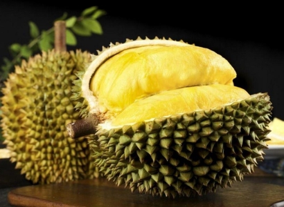 廣州進(jìn)口越南榴蓮報(bào)關(guān)流程_新鮮榴蓮進(jìn)口清關(guān)費(fèi)用