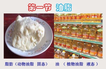 動物油脂進(jìn)口報關(guān)代理難點(diǎn)以及所需資料