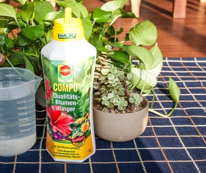 氨基酸營養(yǎng)液進(jìn)口報關(guān)資料_植物營養(yǎng)劑進(jìn)口申報要素