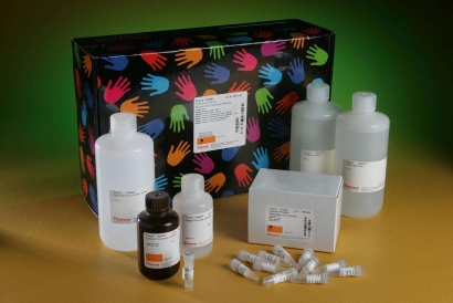 廣州進口生物試劑清關(guān)代理流程及所需資料