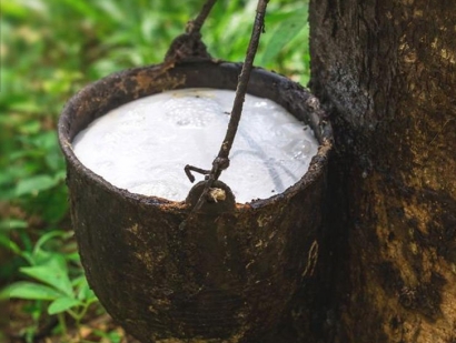 深圳橡膠進口報關(guān)流程及天然橡膠進口清關(guān)手續(xù)