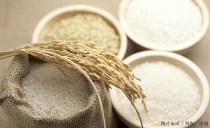 廣州進(jìn)口食品報關(guān)代理_廣州臻力提供一站式解決方案