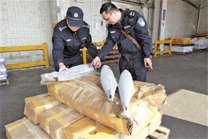 菲律賓凍魚進口報關(guān)操作流程手續(xù)的指導(dǎo)