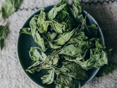 進(jìn)口美國干薄荷葉清關(guān)流程以及調(diào)味料進(jìn)口報關(guān)資質(zhì)