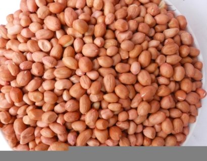 廣州花生米進口報關(guān)代理需要什么資料