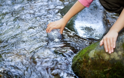 天津礦泉水進(jìn)口清關(guān)代理