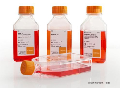 德國細胞培養(yǎng)試劑進口報關(guān)資料_上?？者\生物試劑