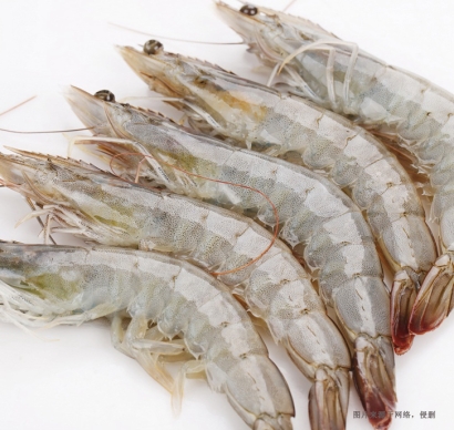 一文詳解進口蝦怎么清關？巴拿馬白腳蝦報關的關稅