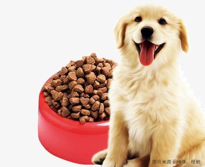 上海進(jìn)口寵物食品報關(guān)流程及要點(diǎn)