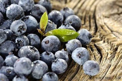 食品進(jìn)口報(bào)關(guān)單證，藍(lán)莓濃縮粉怎么進(jìn)口？