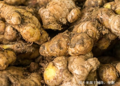 越南生姜進口清關流程_胡志明港香料海運進口費用