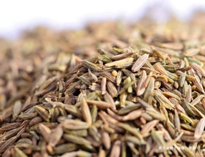 沈陽孜然進口清關流程是怎么樣的？印度孜然報關行