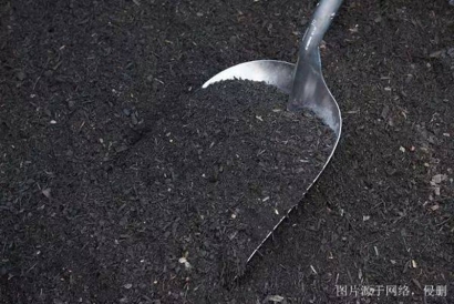 青島化肥進(jìn)口報(bào)關(guān)資料_肥料進(jìn)口如何清關(guān)流程手續(xù)