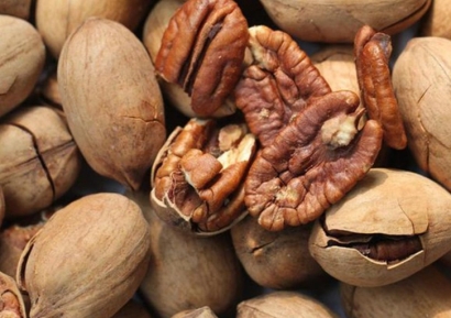 美國山核桃碧根果進口清關(guān)資料-廣州堅果報關(guān)行