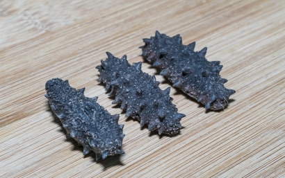 仿刺參進口報關(guān)檢驗檢疫需要的資料