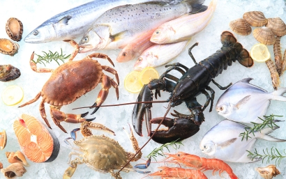 進(jìn)口海鮮報關(guān)