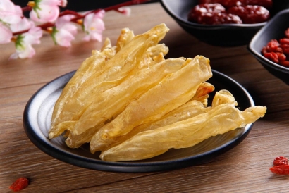 進口魚膠清關準入的國家有哪些？花膠進口報關