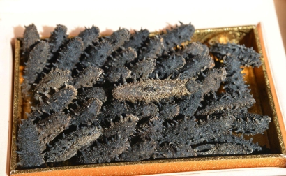 專業(yè)進(jìn)口干海參清關(guān)代理公司