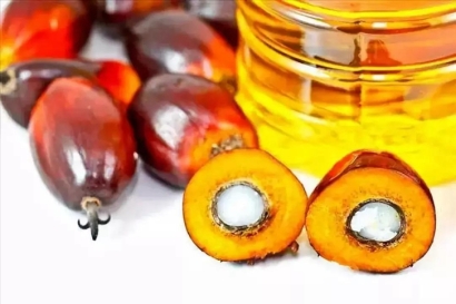 進口印尼棕櫚油報關(guān)代理_廣州棕櫚油進口關(guān)稅