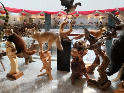 動物標本進口報關(guān)流程及注意事項