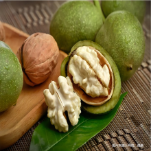 杭州進口食品報關清關公司哪家好？