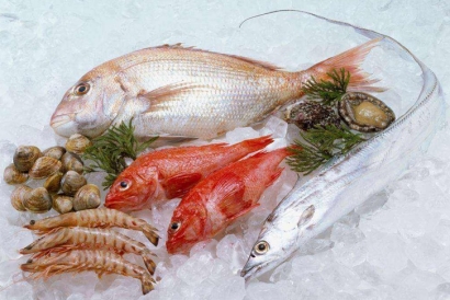 寧波進口印尼鯛魚清關資料_冷凍水產品進口報關費用