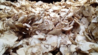 印尼魔芋可以進(jìn)口嗎？魔芋干進(jìn)口報(bào)關(guān)準(zhǔn)入國