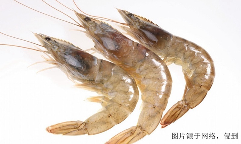 欽州進(jìn)口越南對(duì)蝦報(bào)關(guān)資料 欽州進(jìn)口越南對(duì)蝦報(bào)關(guān)資料