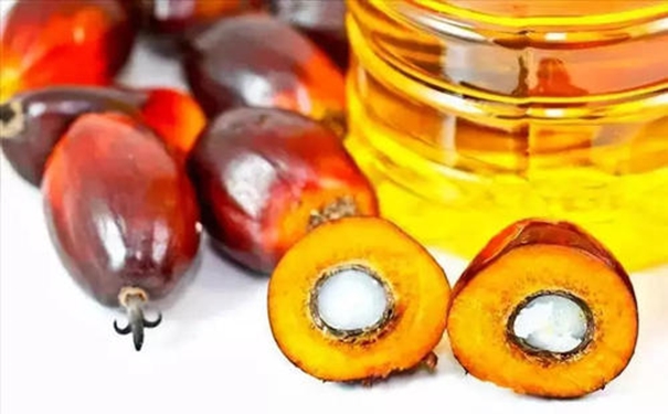 你要了解的進口棕櫚油清關(guān)的流程在這里 進口棕櫚油清關(guān)