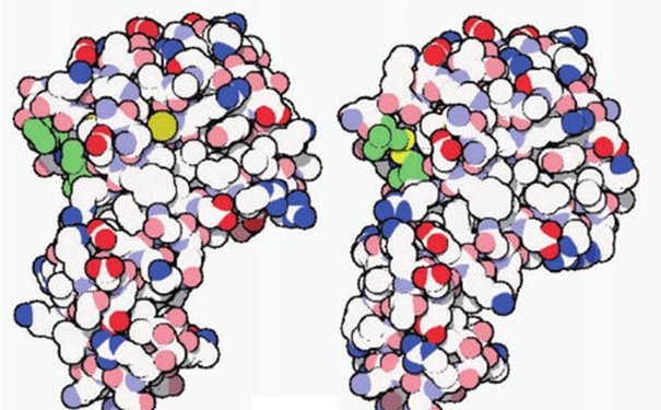 【進口酶清關(guān)代理】的流程,一般貿(mào)易進口酶 進口酶清關(guān)代理