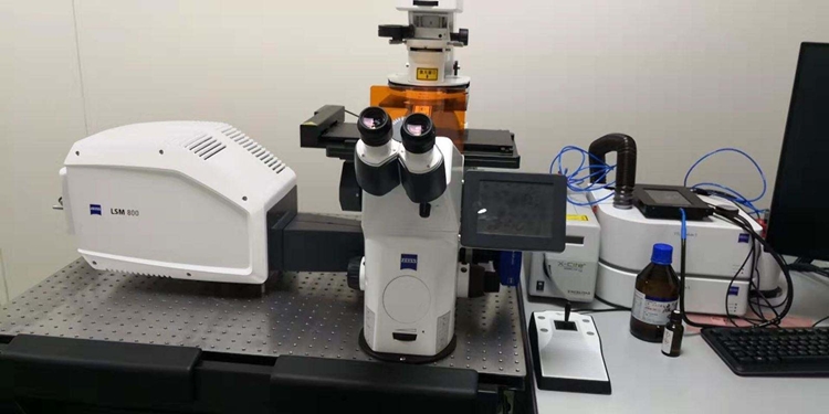 1598236921231527.jpg 環(huán)境科研設(shè)備進(jìn)口報關(guān)