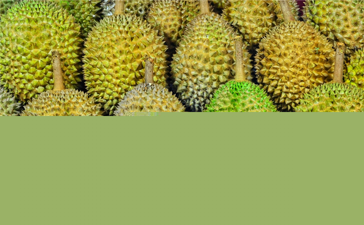 馬來西亞榴蓮進口報關(guān)代理公司 馬來西亞榴蓮進口報關(guān)