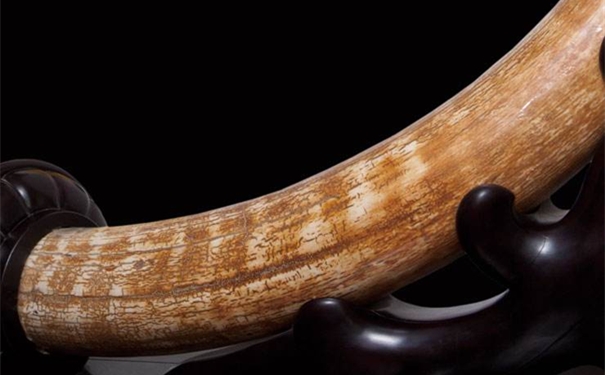 1607067411370561.jpg 企業微信截圖_16070673051830_副本.jpg