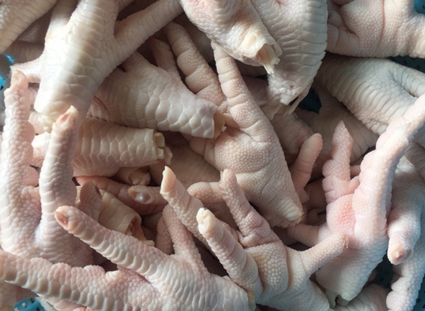 1628246717188439.jpg 上海進口巴西鳳爪清關(guān)公司_副本.jpg